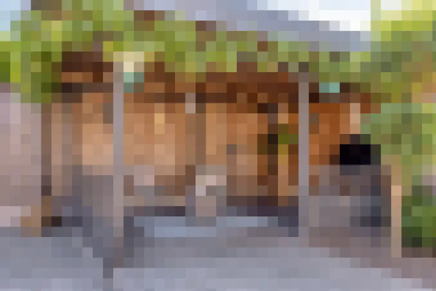 Scholtinkstraat 181 Losser thumbnail 27
