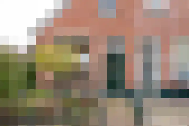 Scholtinkstraat 183 Losser thumbnail 6
