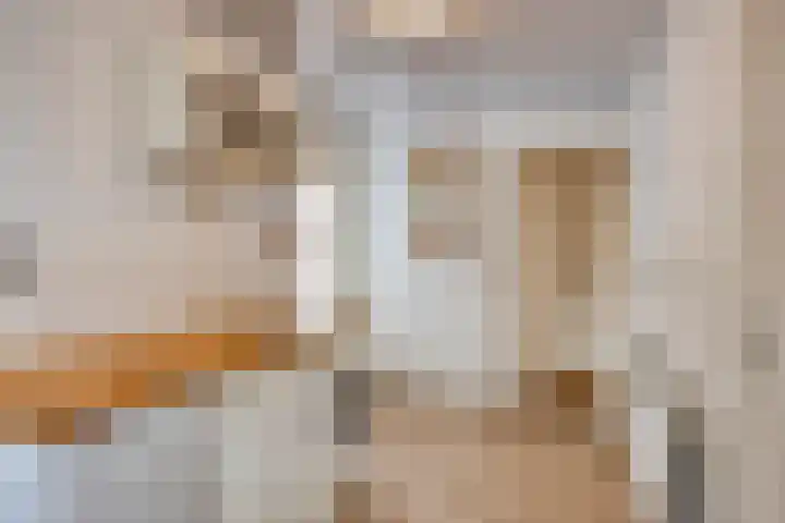 Scholtinkstraat 189 Losser thumbnail 16