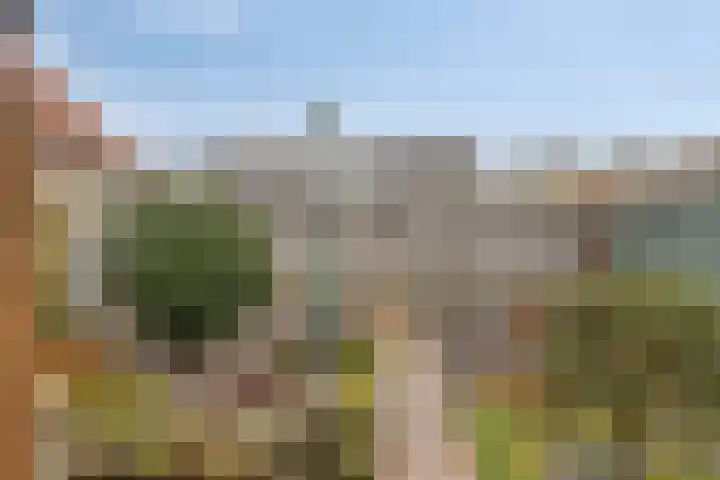 Scholtinkstraat 189 Losser thumbnail 34