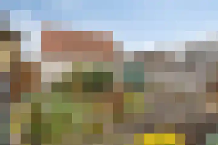Scholtinkstraat 189 Losser thumbnail 35