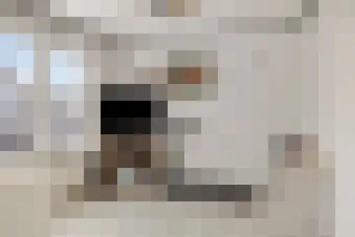 Scholtinkstraat 206 Losser thumbnail 17