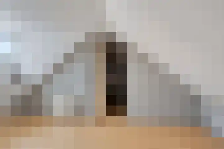 Scholtinkstraat 206 Losser thumbnail 22