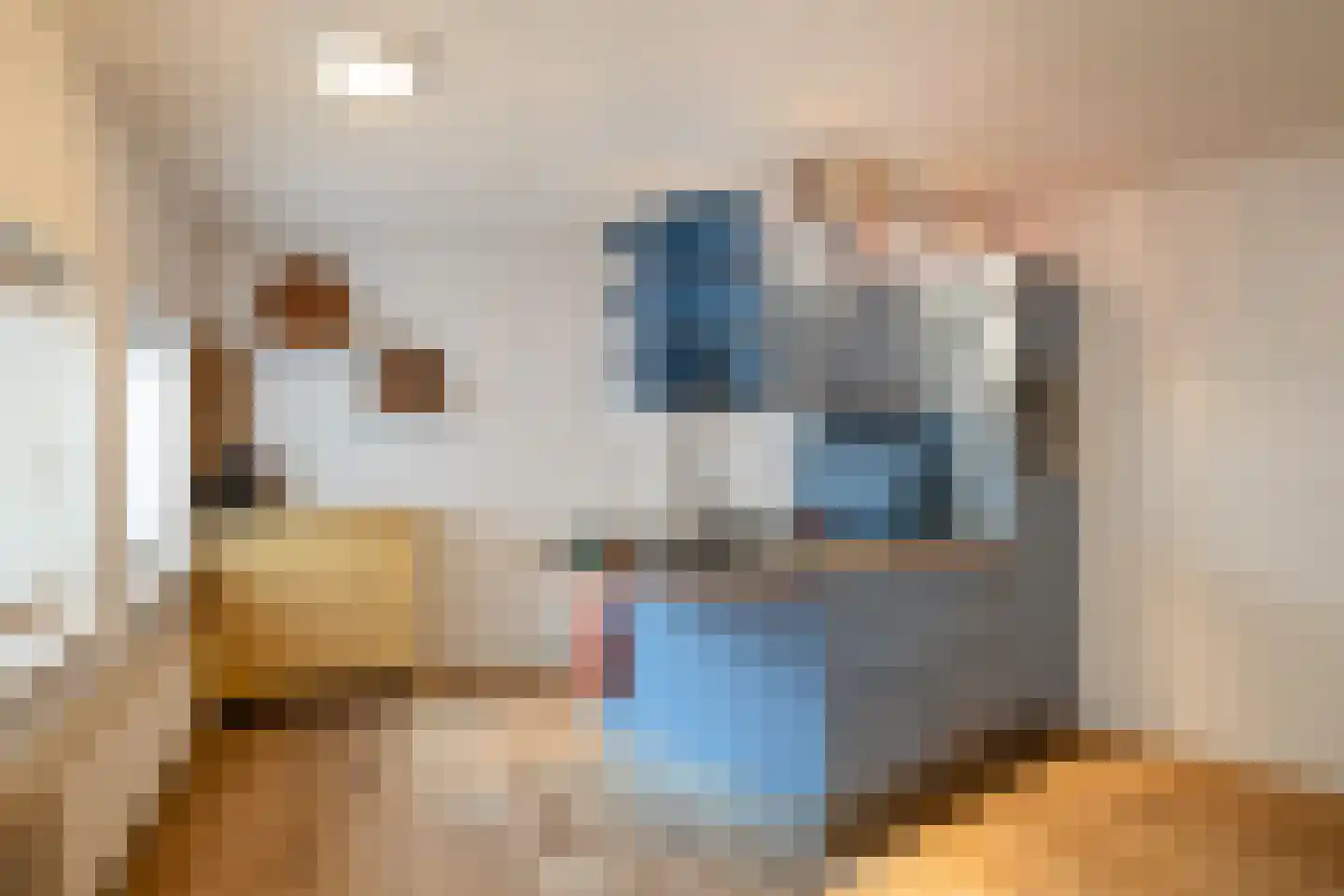 Scholtinkstraat 208 Losser thumbnail 11