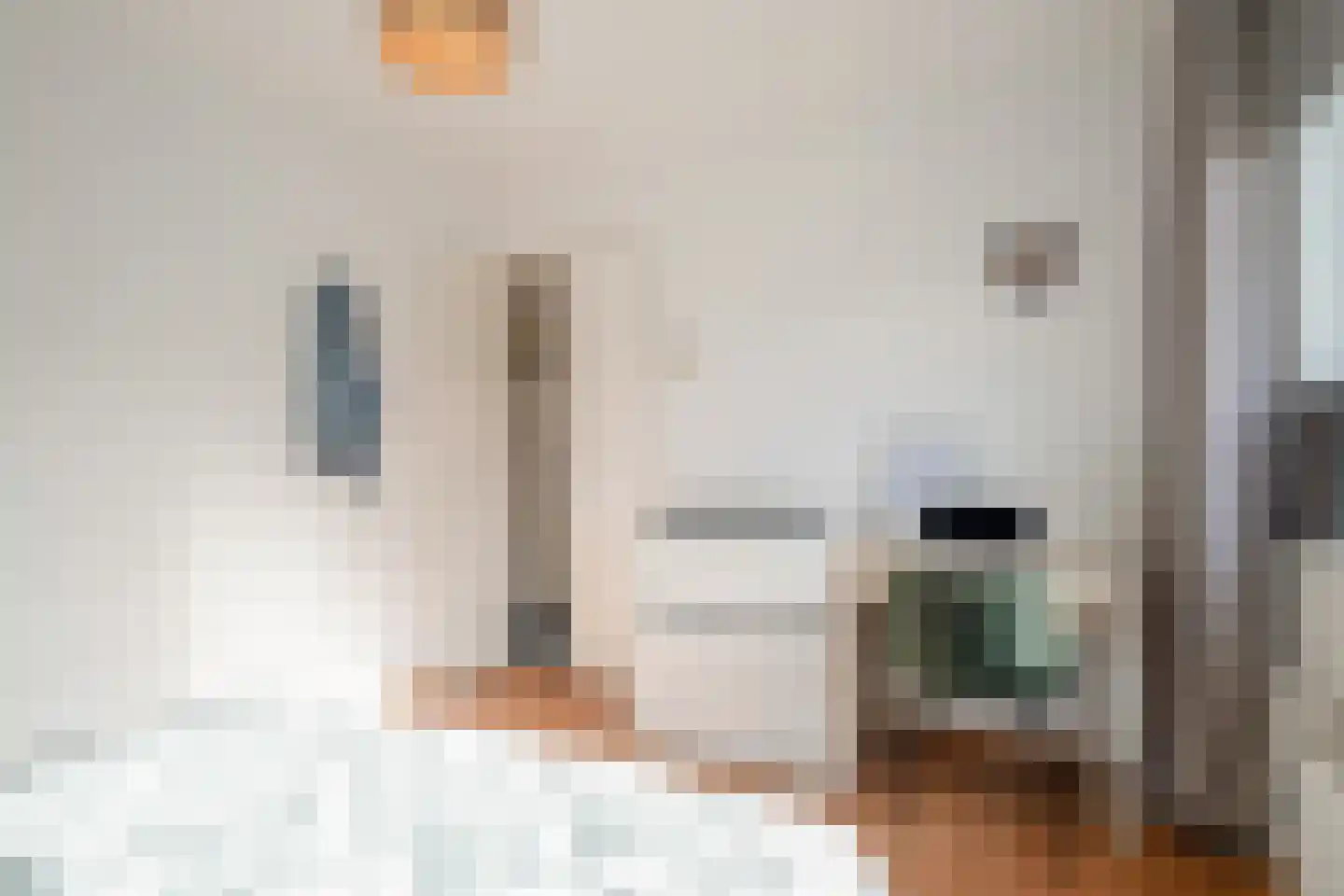 Scholtinkstraat 208 Losser thumbnail 15