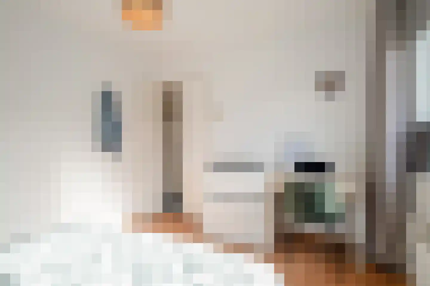 Scholtinkstraat 208 Losser thumbnail 15