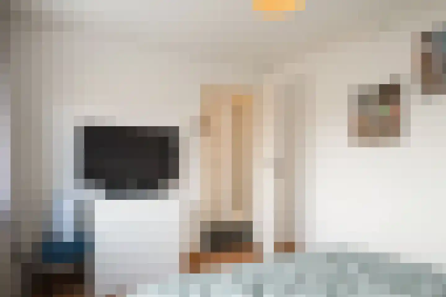 Scholtinkstraat 208 Losser thumbnail 17