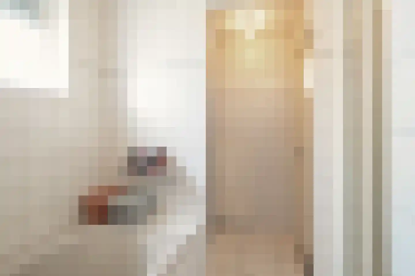 Scholtinkstraat 208 Losser thumbnail 21