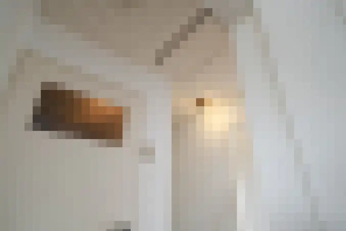 Scholtinkstraat 208 Losser thumbnail 22