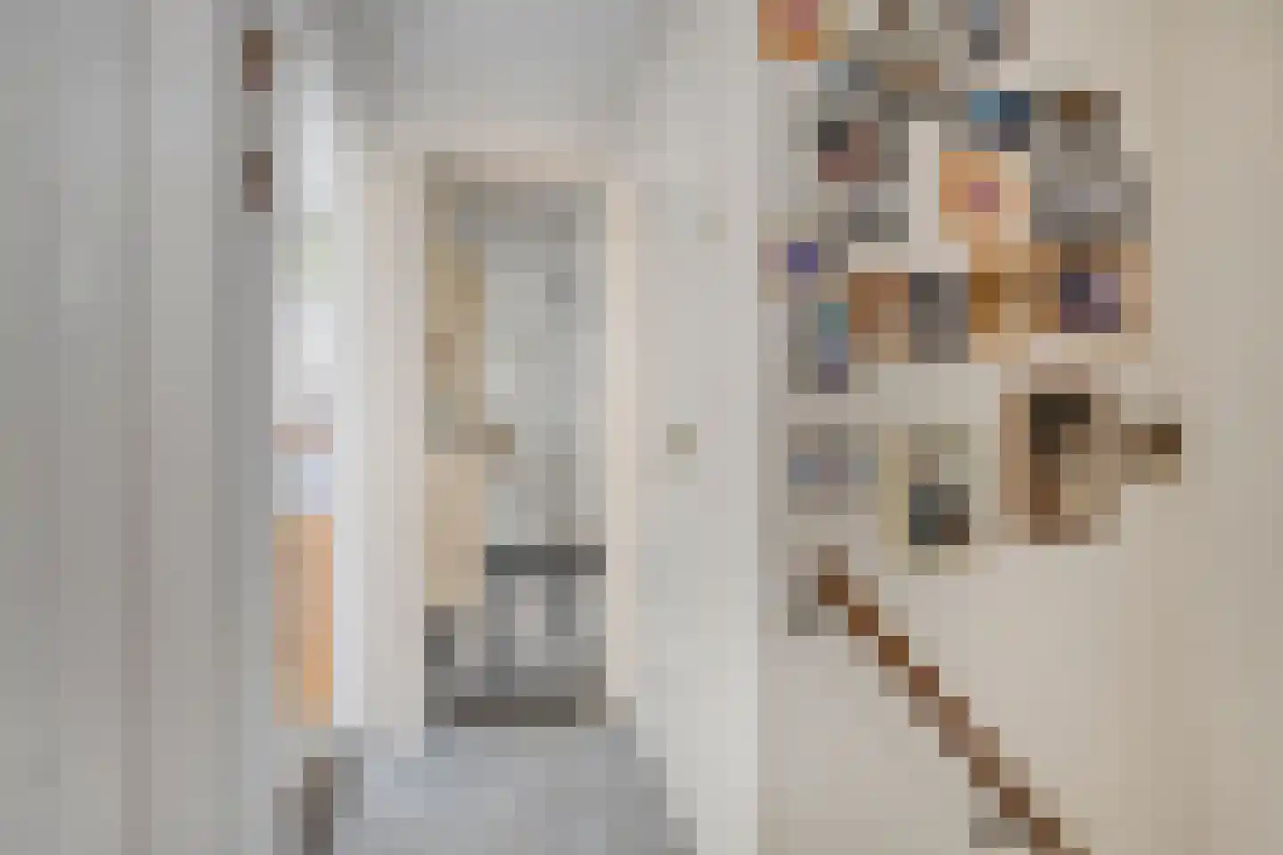 Scholtinkstraat 212 Losser thumbnail 14