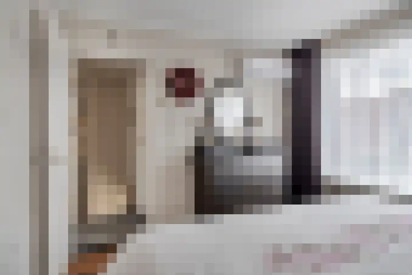 Scholtinkstraat 212 Losser thumbnail 16