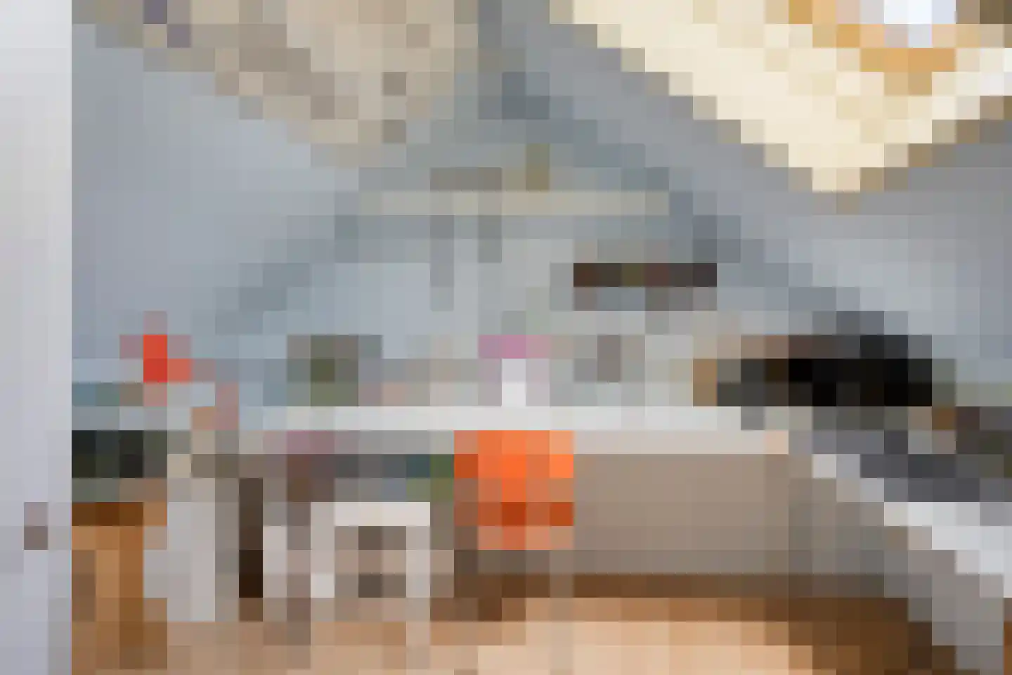 Scholtinkstraat 212 Losser thumbnail 20
