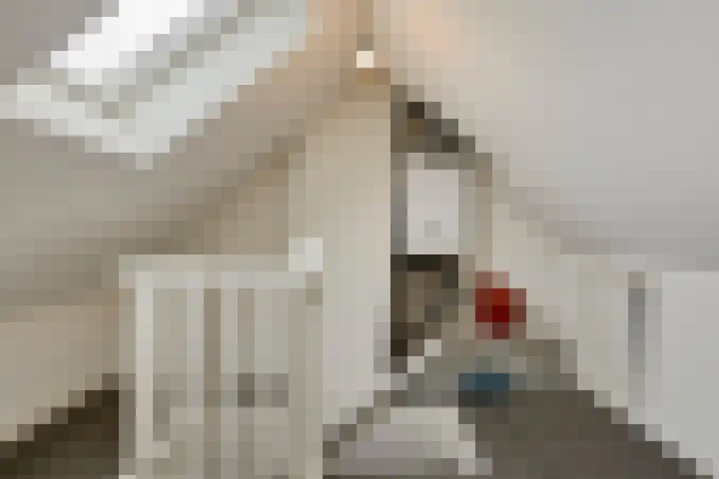 Scholtinkstraat 220 Losser thumbnail 13