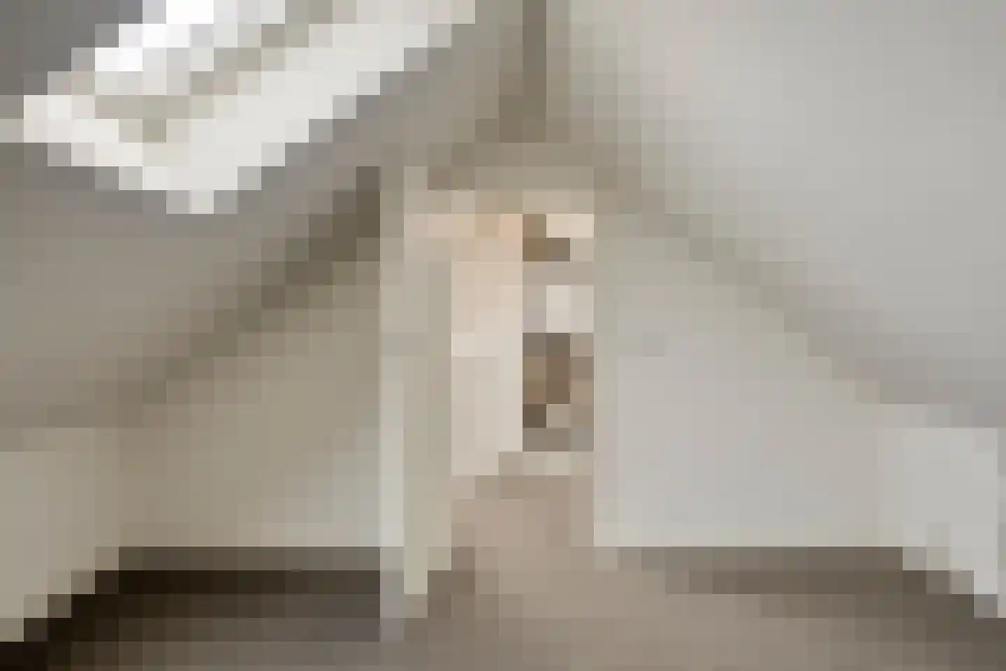 Scholtinkstraat 220 Losser thumbnail 15