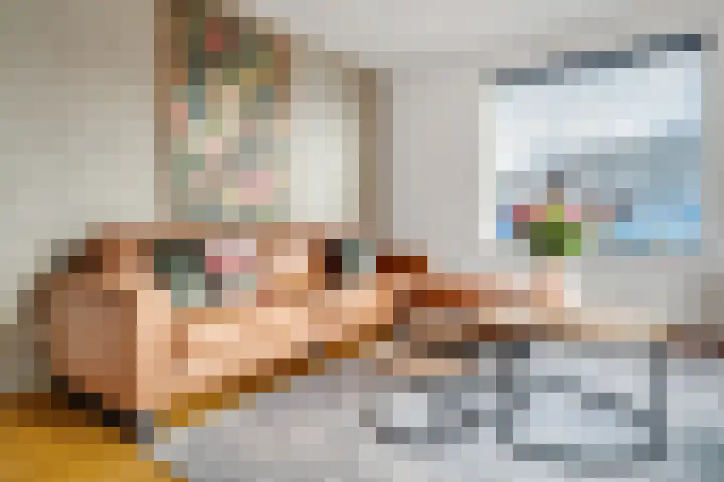 Scholtinkstraat 50 Losser thumbnail 16