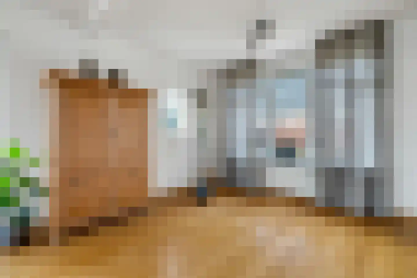 Scholtinkstraat 50 Losser thumbnail 18