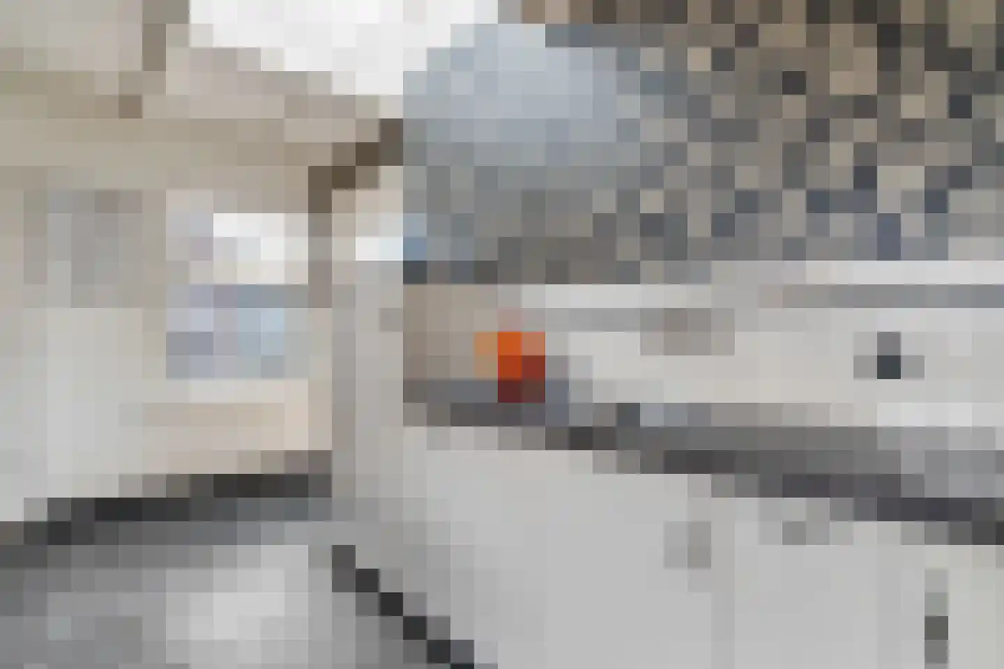 Scholtinkstraat 50 Losser thumbnail 22