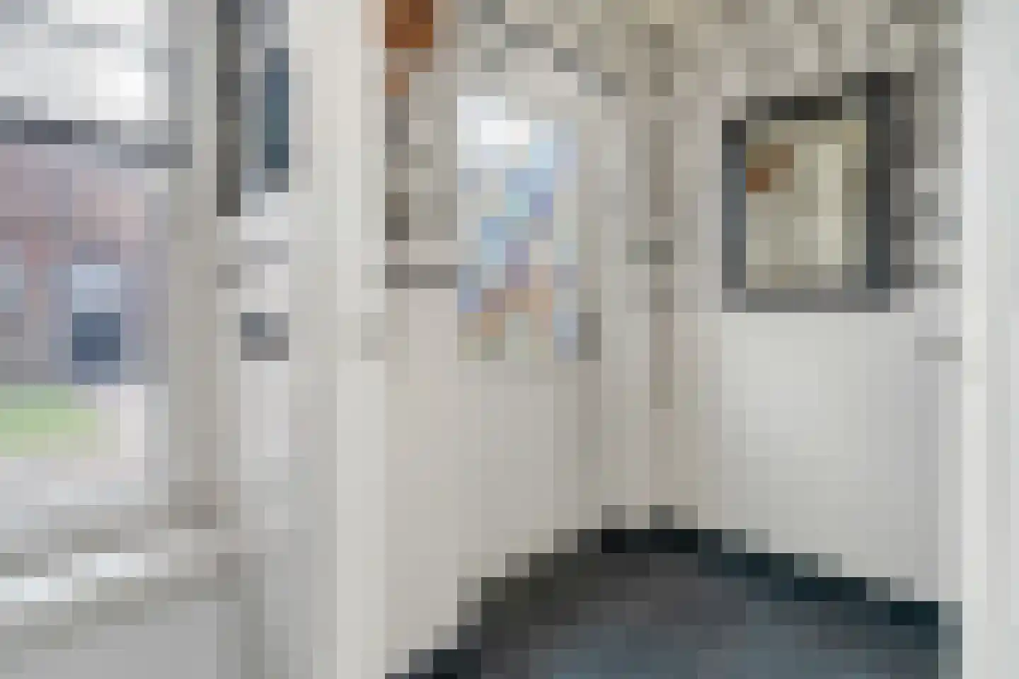 Scholtinkstraat 50 Losser thumbnail 24