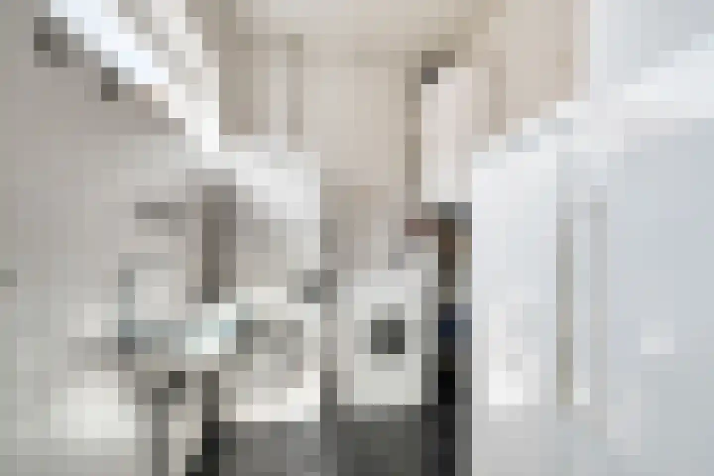 Scholtinkstraat 50 Losser thumbnail 25