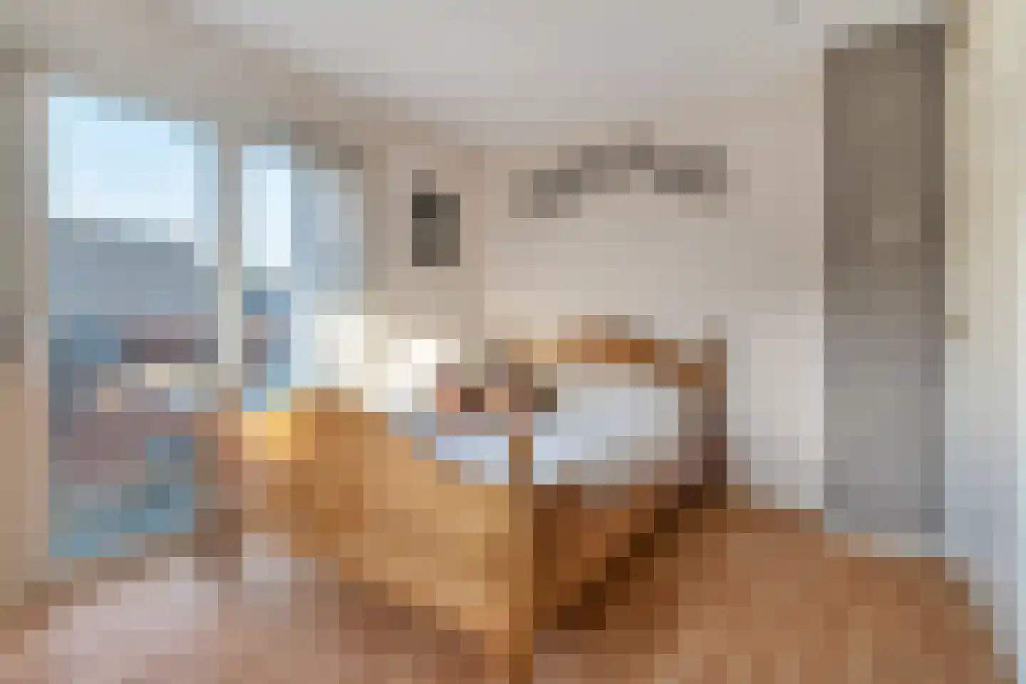 Scholtinkstraat 50 Losser thumbnail 28