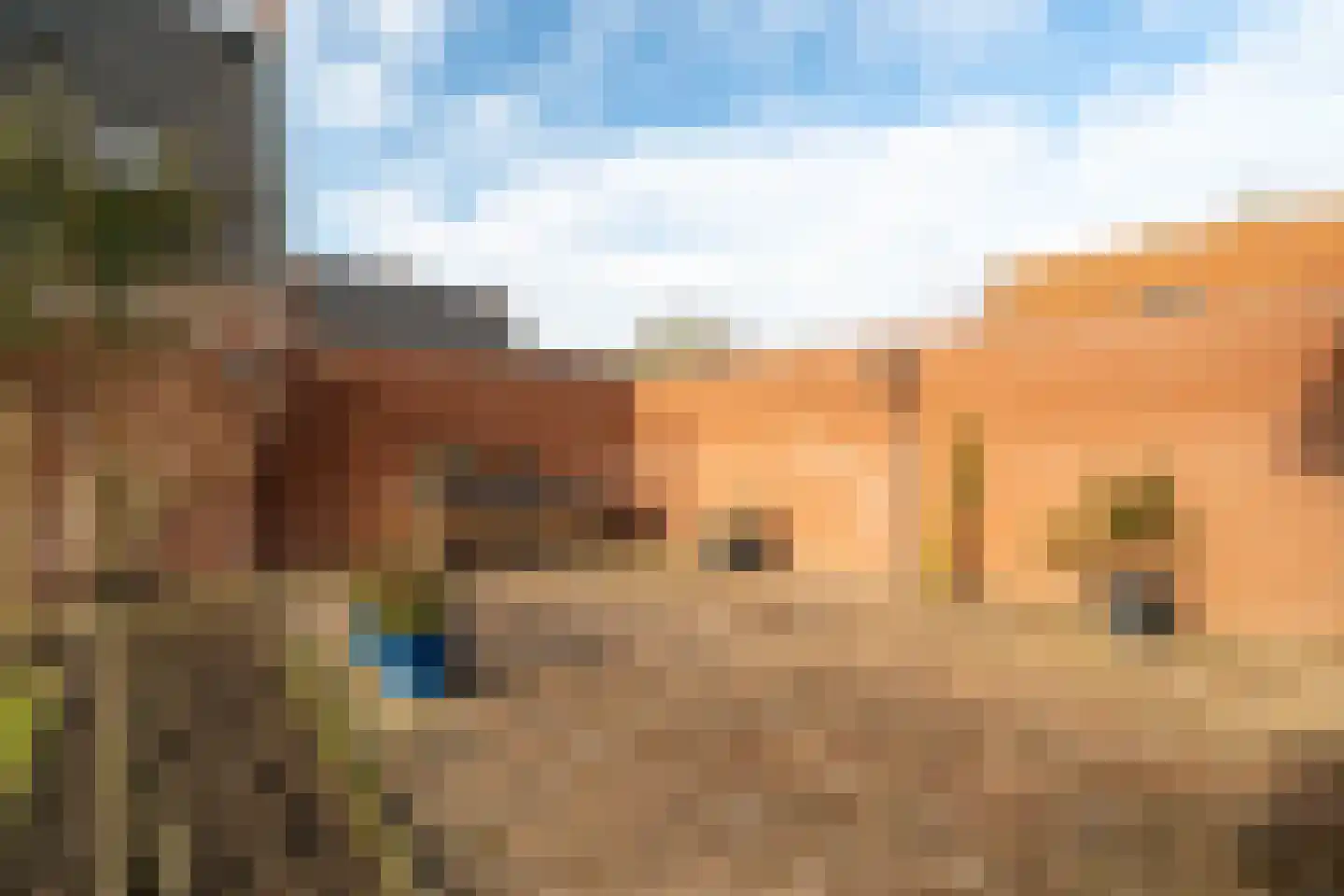 Scholtinkstraat 50 Losser thumbnail 37