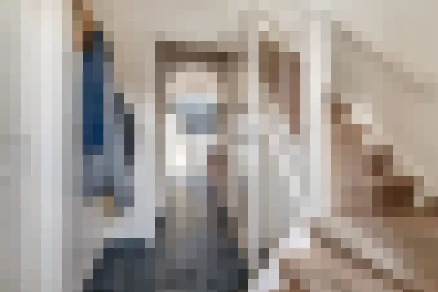 Scholtinkstraat 50 Losser thumbnail 9