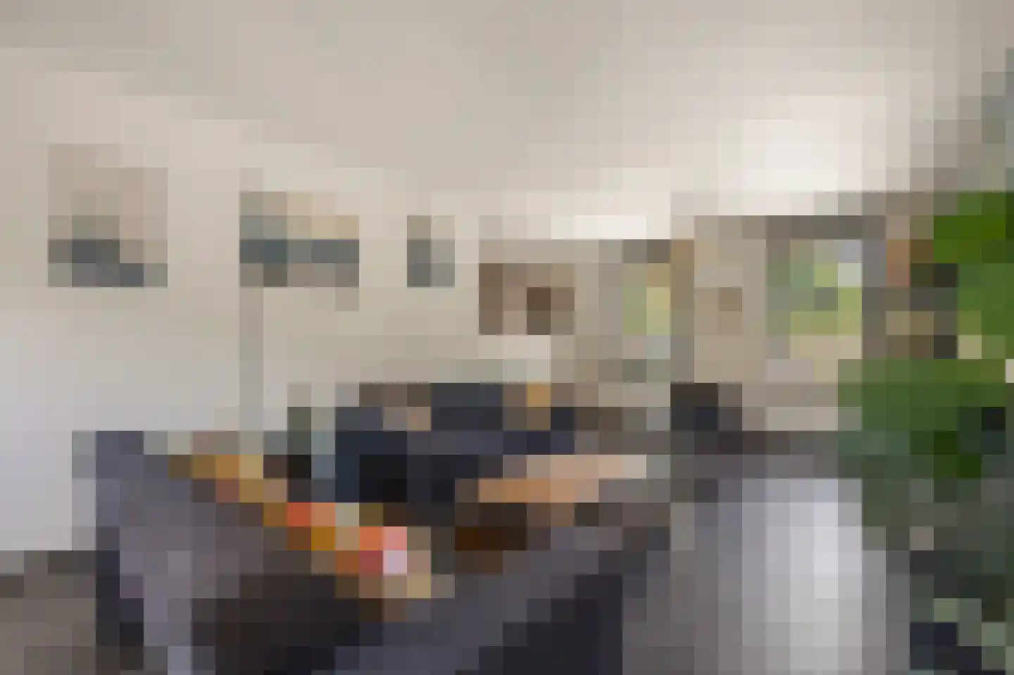 Scholtisweg 30 Montfort thumbnail 12