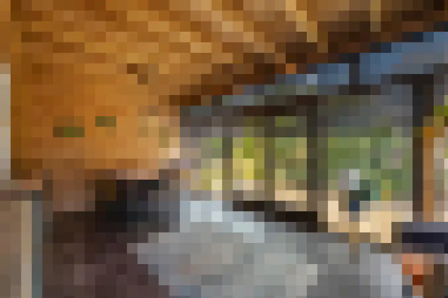 Scholtisweg 30 Montfort thumbnail 14