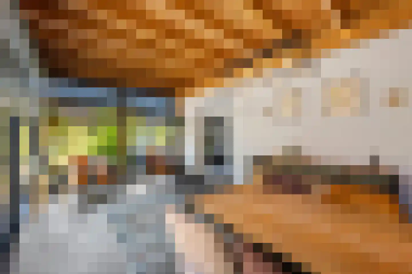 Scholtisweg 30 Montfort thumbnail 15