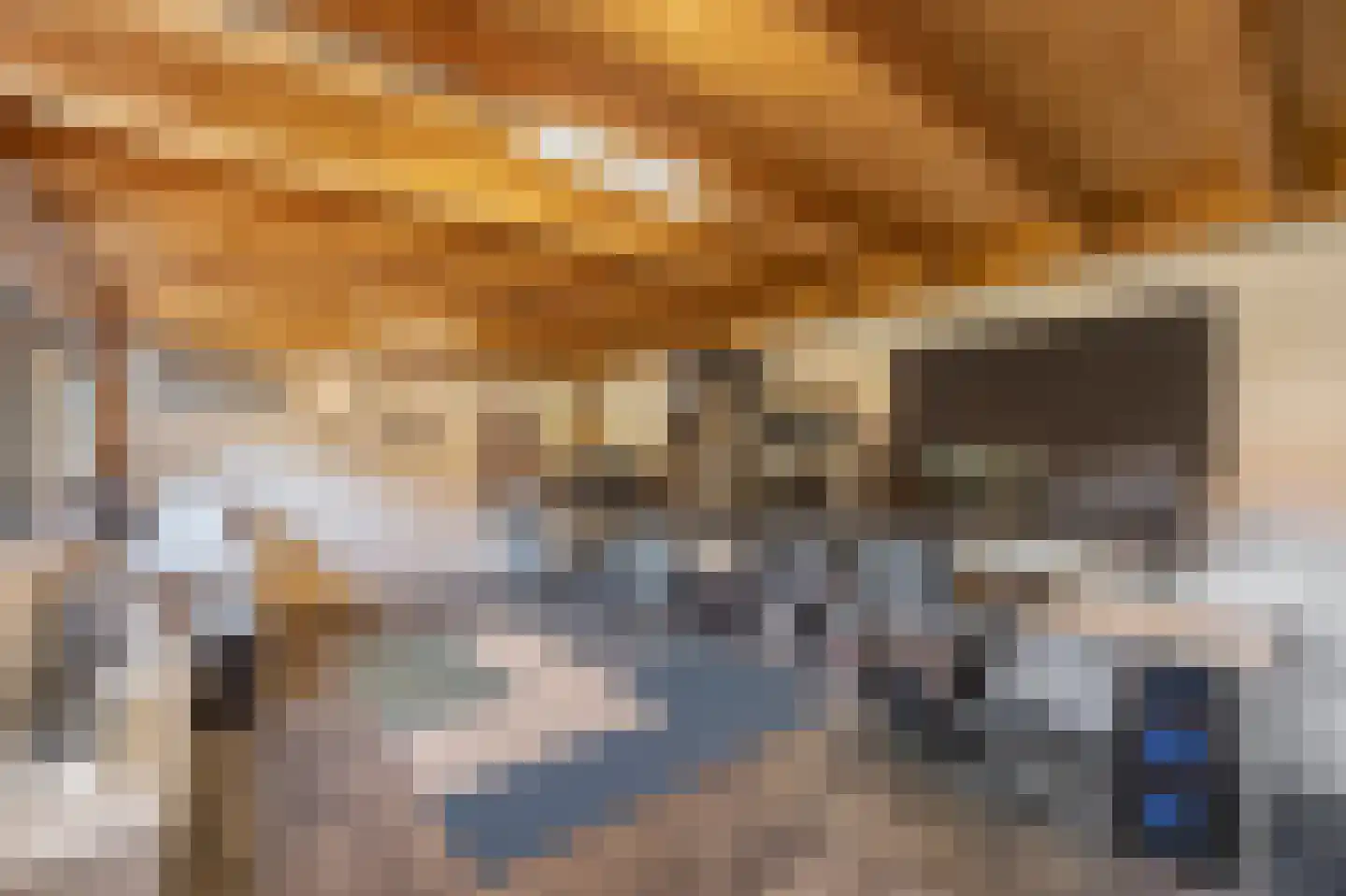 Scholtisweg 30 Montfort thumbnail 24