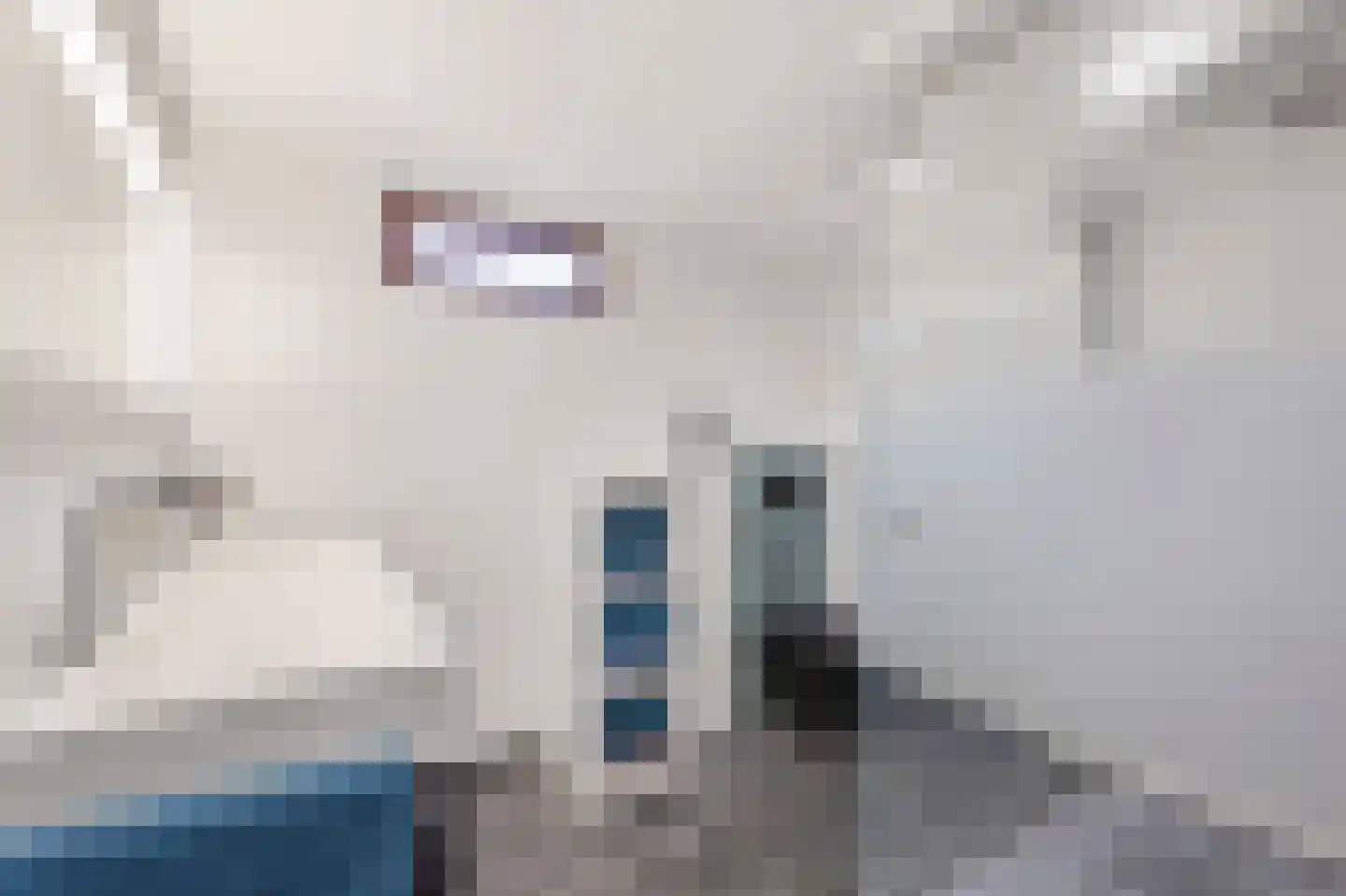 Scholtisweg 30 Montfort thumbnail 33