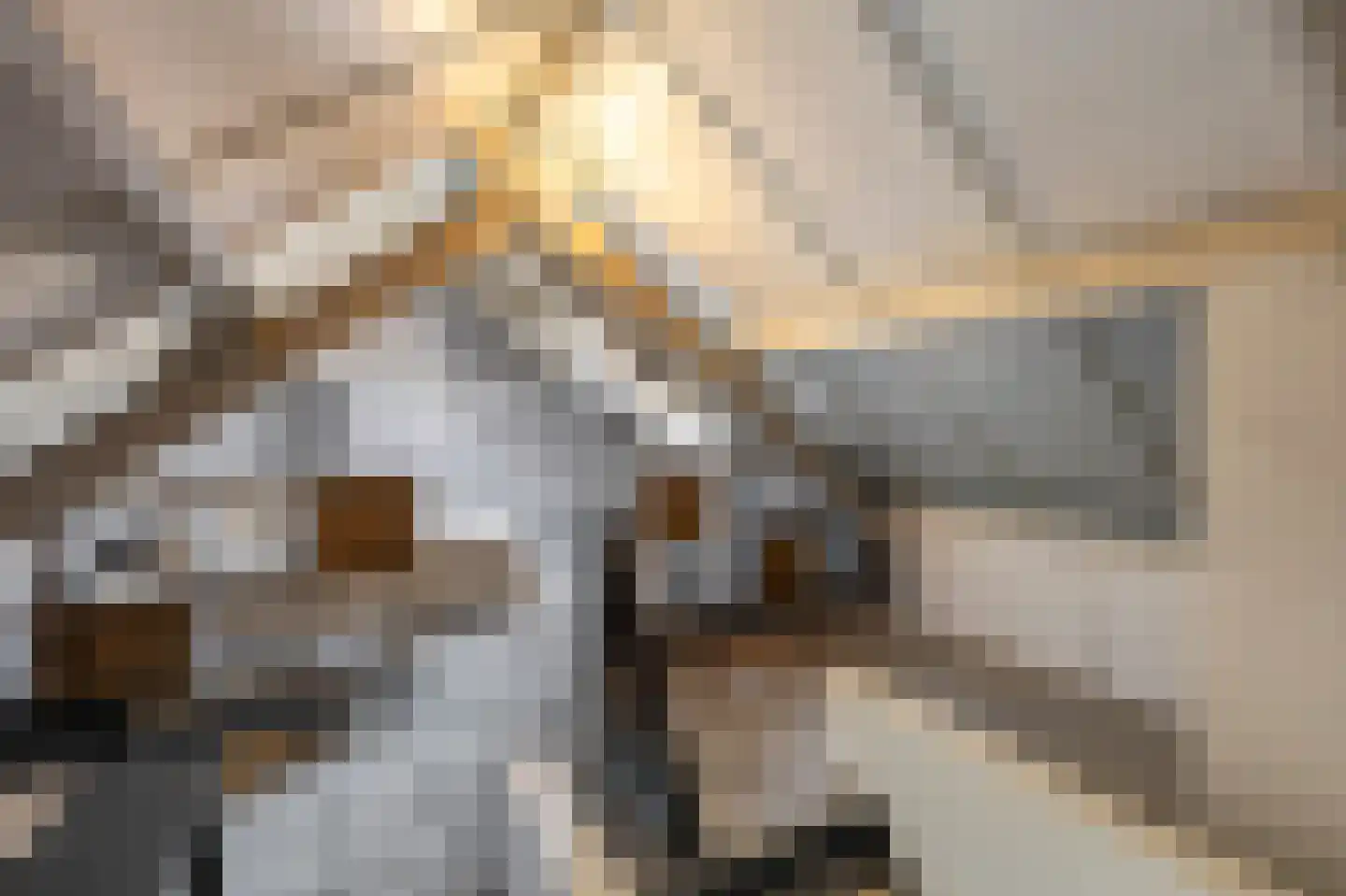 Scholtisweg 30 Montfort thumbnail 36