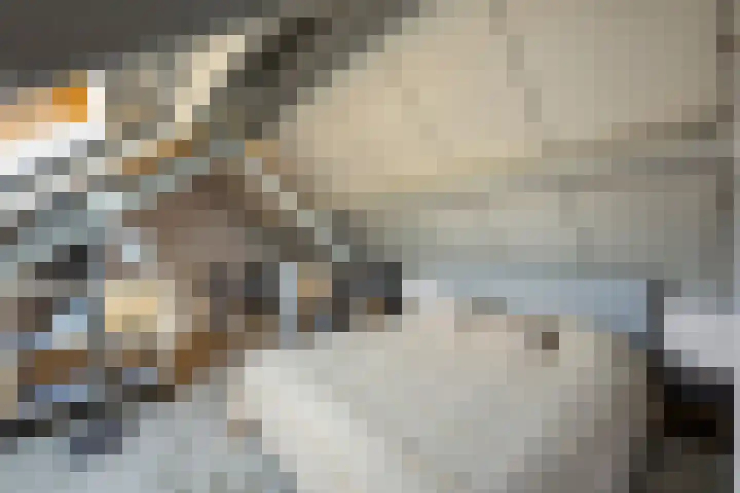 Scholtisweg 30 Montfort thumbnail 37