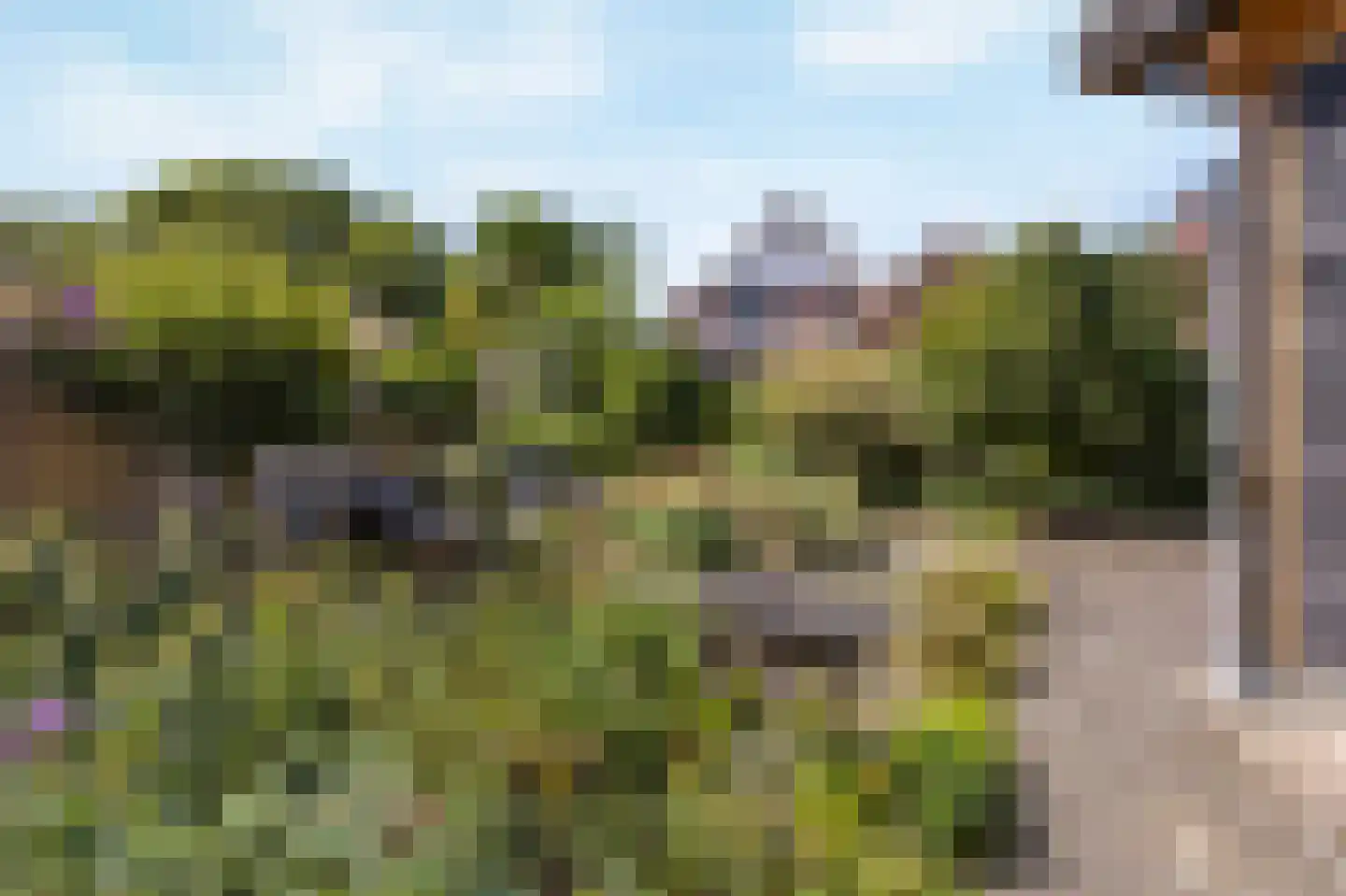 Scholtisweg 30 Montfort thumbnail 39