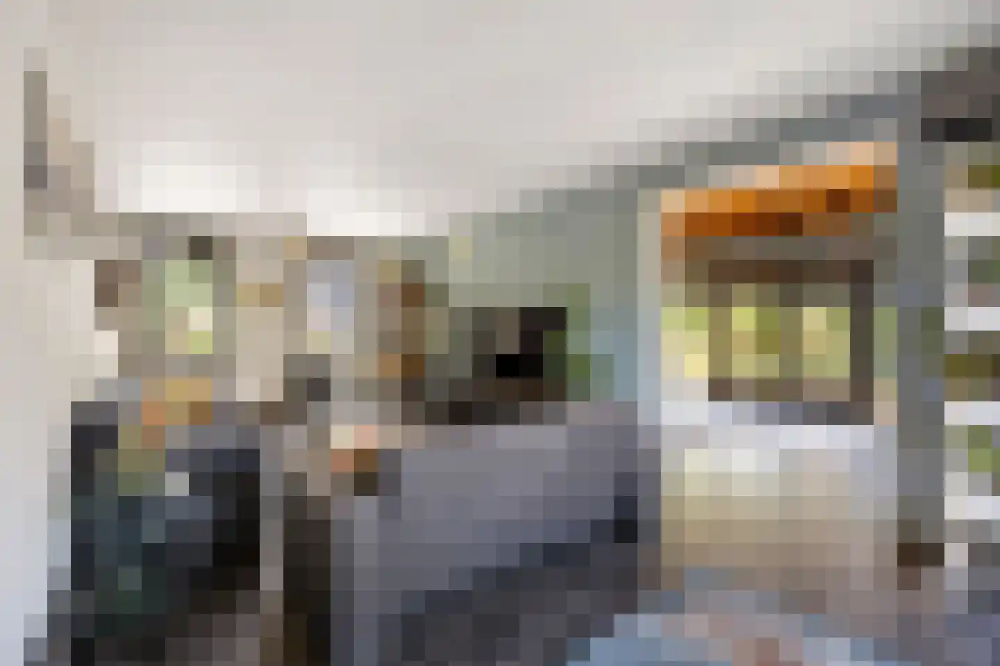 Scholtisweg 30 Montfort thumbnail 8