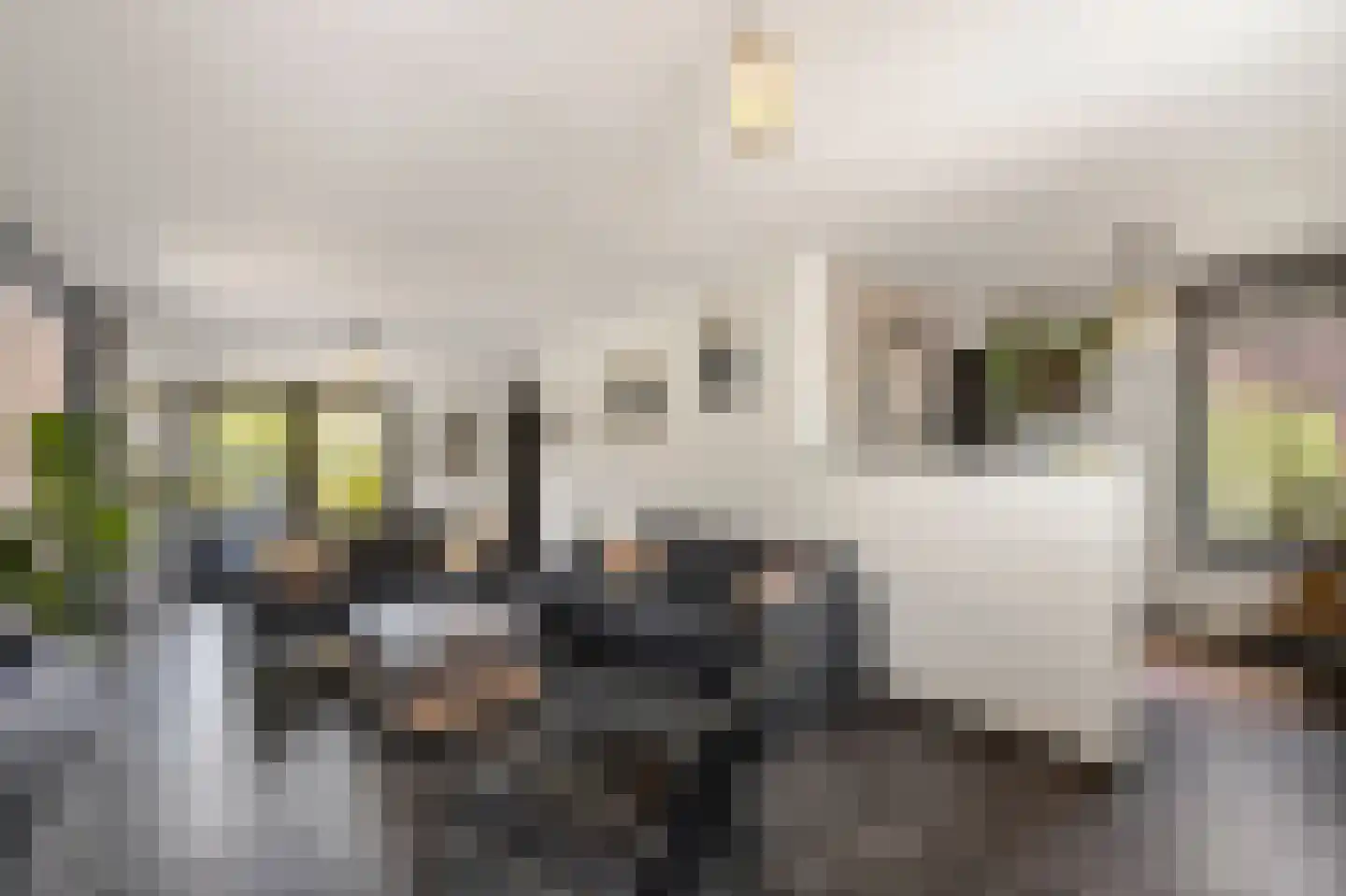 Scholtisweg 30 Montfort thumbnail 9