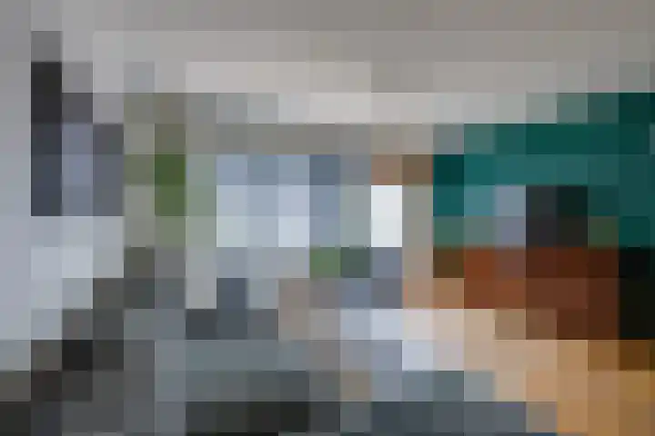 Scholverbos 24 Rijen thumbnail 13