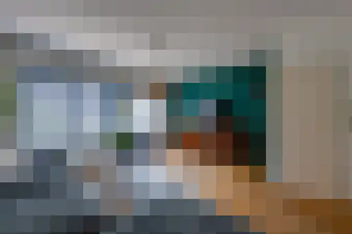Scholverbos 24 Rijen thumbnail 15