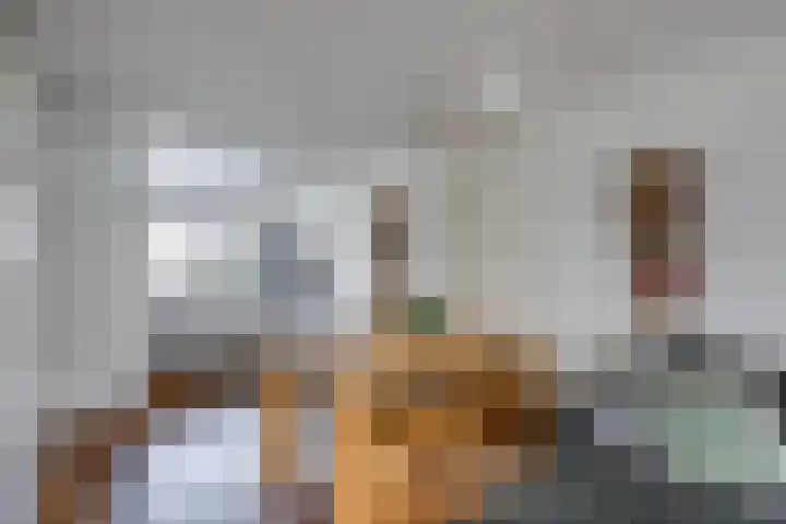 Scholverbos 24 Rijen thumbnail 17