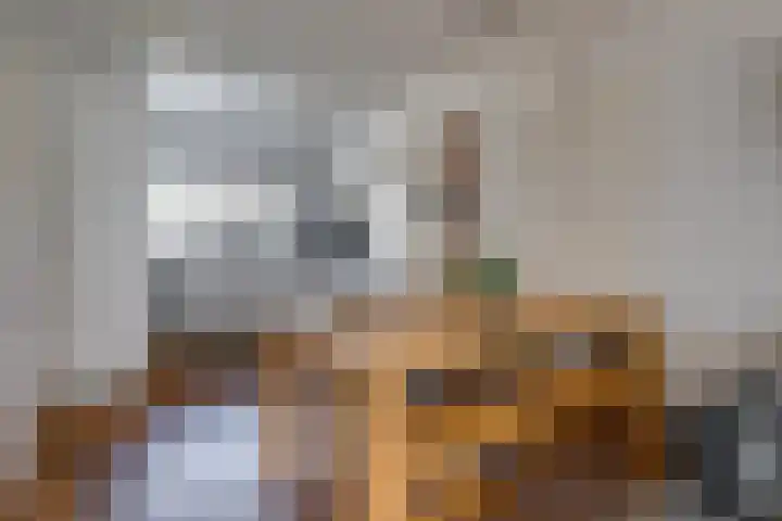 Scholverbos 24 Rijen thumbnail 18