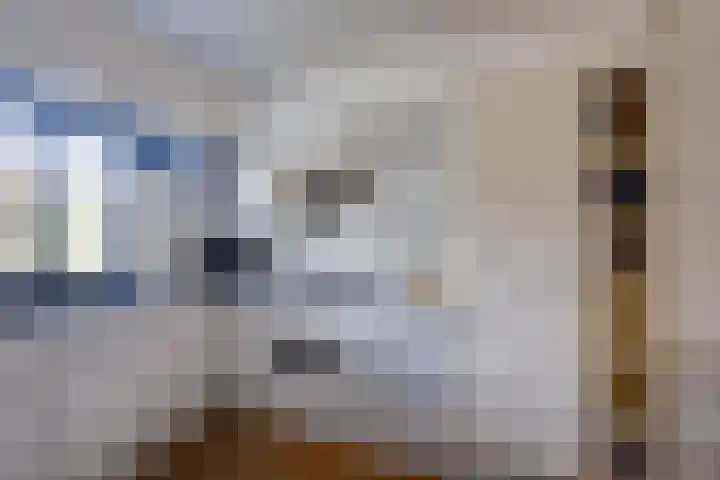 Scholverbos 24 Rijen thumbnail 20