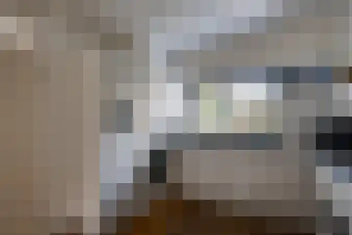 Scholverbos 24 Rijen thumbnail 21