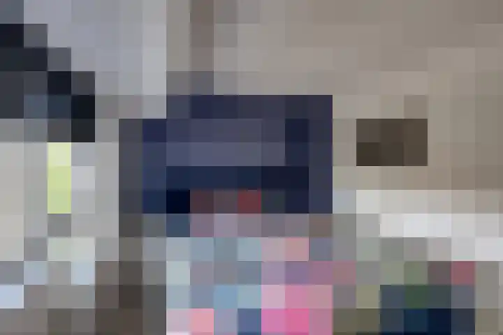 Scholverbos 24 Rijen thumbnail 24