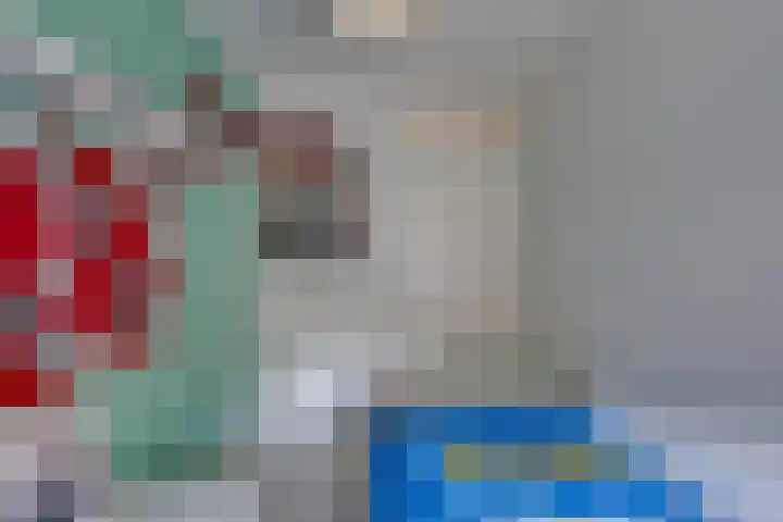 Scholverbos 24 Rijen thumbnail 30