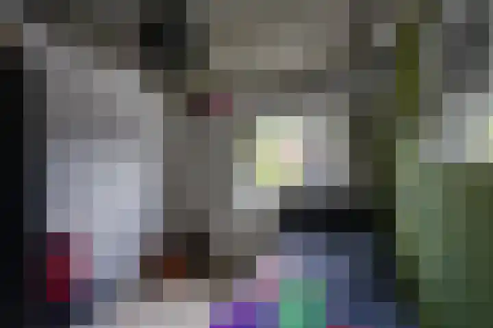 Scholverbos 24 Rijen thumbnail 32