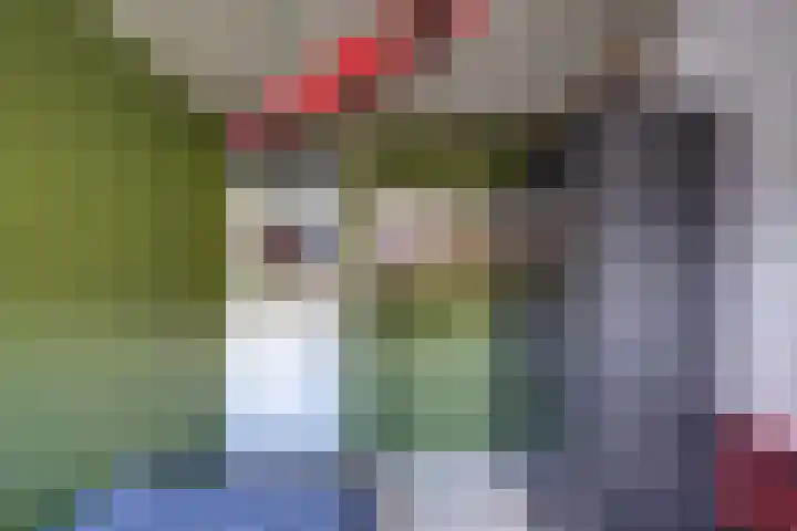 Scholverbos 24 Rijen thumbnail 33