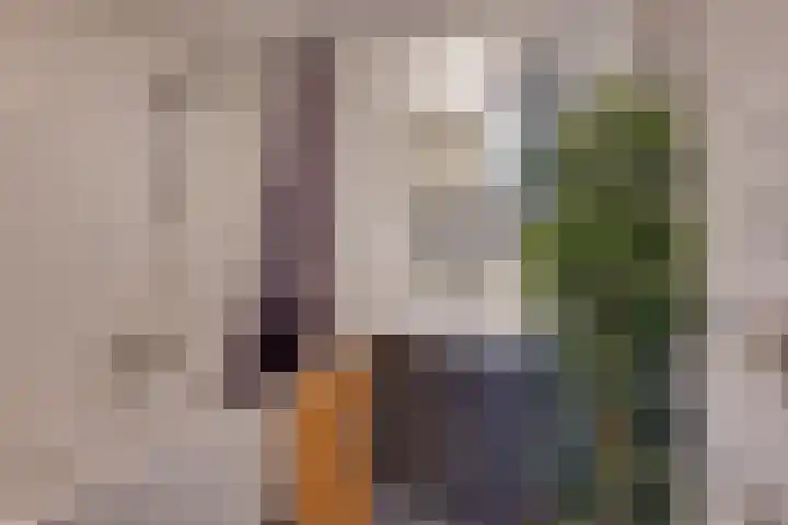 Scholverbos 24 Rijen thumbnail 34