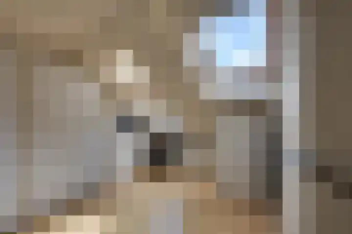 Scholverbos 24 Rijen thumbnail 37
