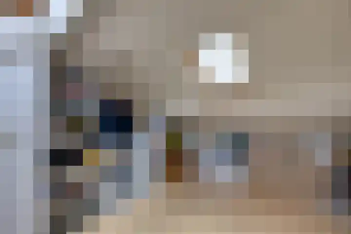 Scholverbos 24 Rijen thumbnail 38