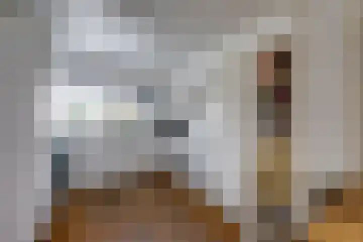 Scholverbos 24 Rijen thumbnail 4
